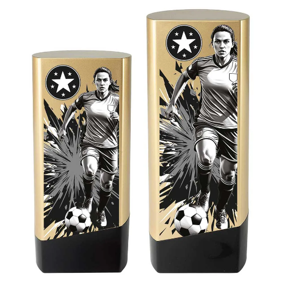 Prime Heavyweight Ladies Football