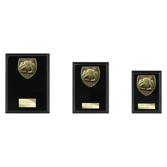 Cobra Plaque Football Goal Keeper Award