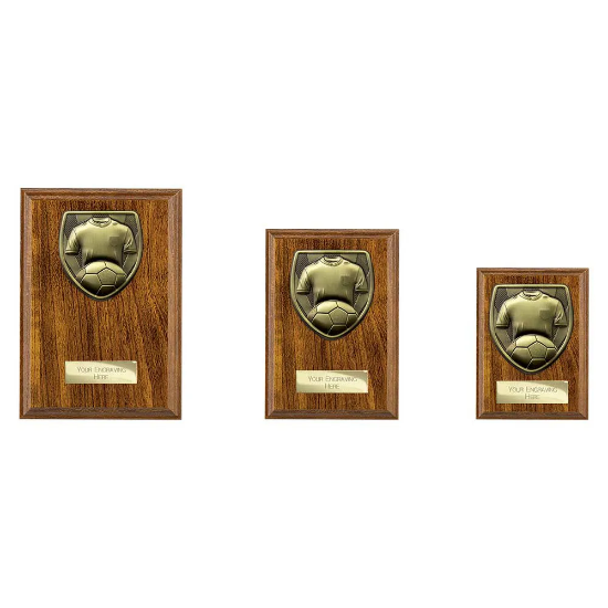 Cobra Plaque Football Shirt & Ball Award