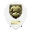 Cobra Shield Football Shirt & Ball Award Arctic White 125mm