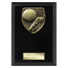 Cobra Plaque Football Boot & Ball Award Epic Black 150mm