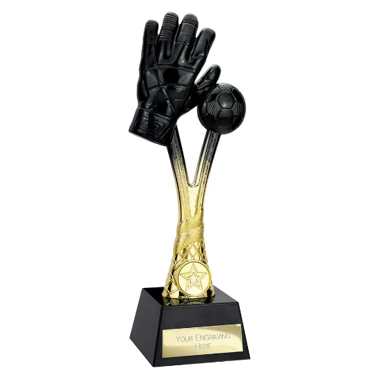 Raider Goalkeeper Award Carbon Black & Gold 260mm