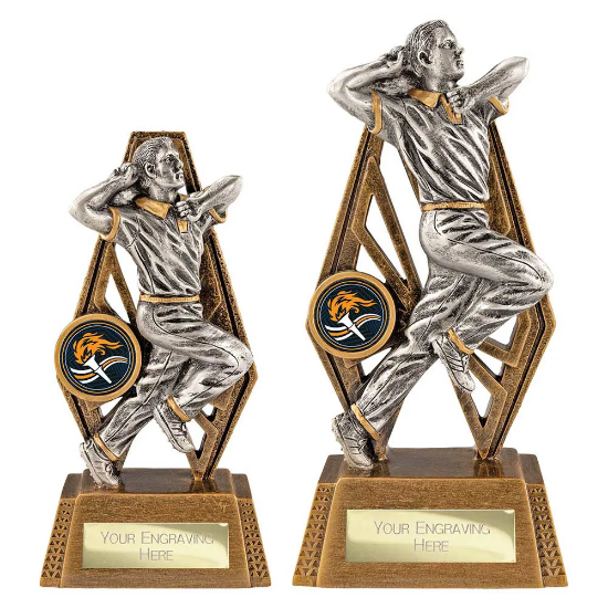 Immense Cricket Bowler Award