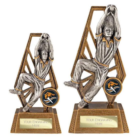 Immense Cricket Fielder Award