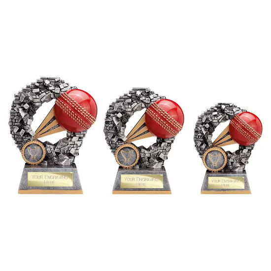 Blast Out Cricket Award