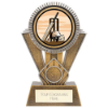 Apex Cricket Award Gold & Silver 180mm