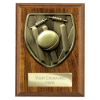 Cobra Plaque Cricket Award Walnut 125mm