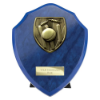 Cobra Shield Cricket Award Azure Blue 150mm