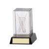 Conquest Cricket 3D Crystal Award 90mm (60mm Width)