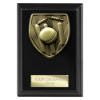 Cobra Plaque Cricket Award Epic Black 125mm