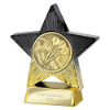 Superstar Darts Award Black & Gold 110mm