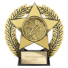 Emperor Star Darts Plaque Gold 120mm