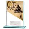 Mustang Snooker Jade Glass Award 125mm