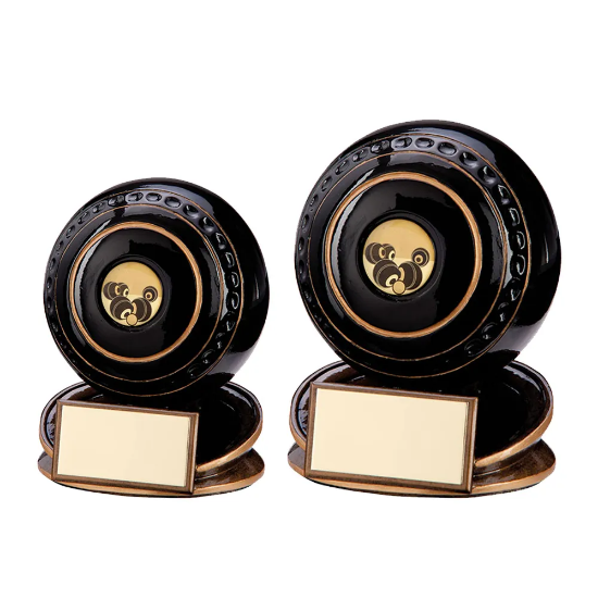 Protege Lawn Bowls Award