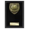 Cobra Plaque Lawn Bowls Award Epic Black 150mm