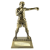 The Classic Boxing Award Metallic Antique Gold 240mm