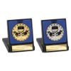 Cascade Stars Boxing Medal & Box
