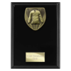 Cobra Plaque Martial Arts Gee Award Epic Black 175mm