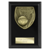 Cobra Plaque Netball Award Epic Black 125mm
