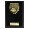Cobra Plaque Netball Award Epic Black 150mm