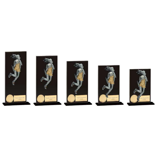 Euphoria Hero Netball Glass Award