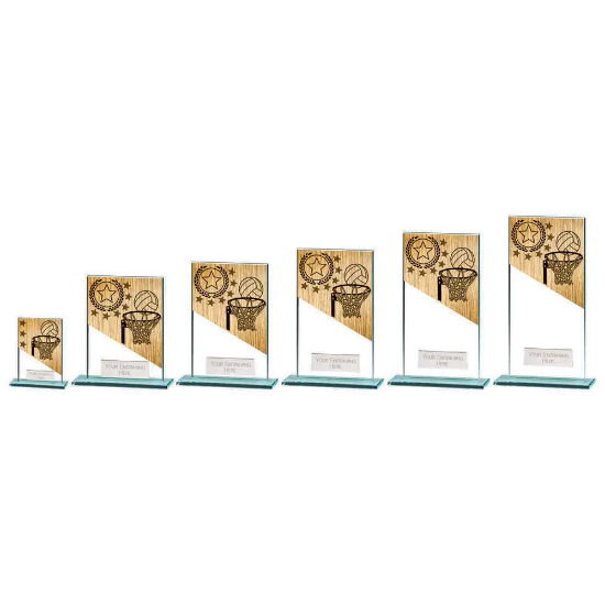 Mustang Netball Jade Glass Award