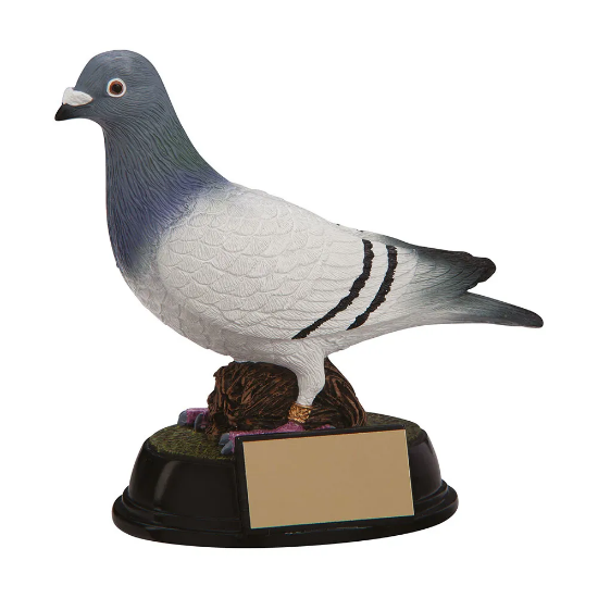 Elite Pigeon Racing Award 145mm