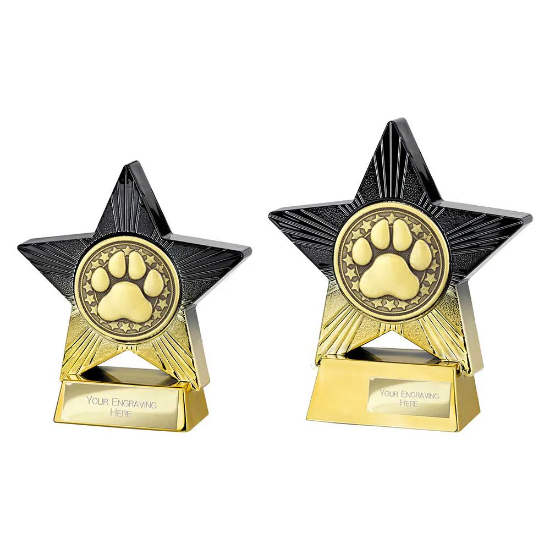 Superstar Dog Agility Award