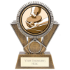 Apex Table Tennis Award Gold & Silver 155mm