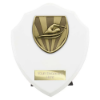 Cobra Shield Swimming Award Arctic White 150mm
