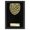 Cobra Plaque Cycling Award Epic Black 150mm