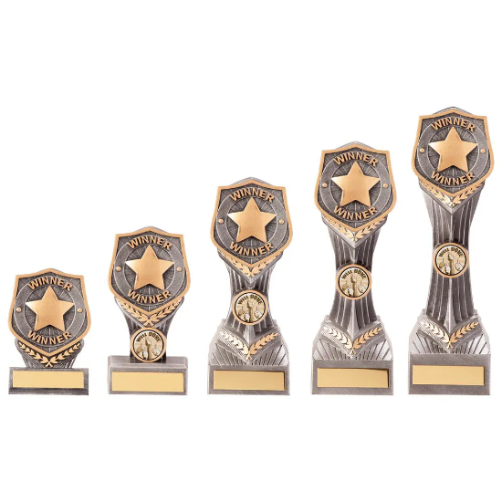 Falcon Achievement Winner Award