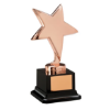 The Challenger Star Bronze Award