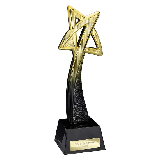 Star Maker Award Gold & Carbon Black 260mm