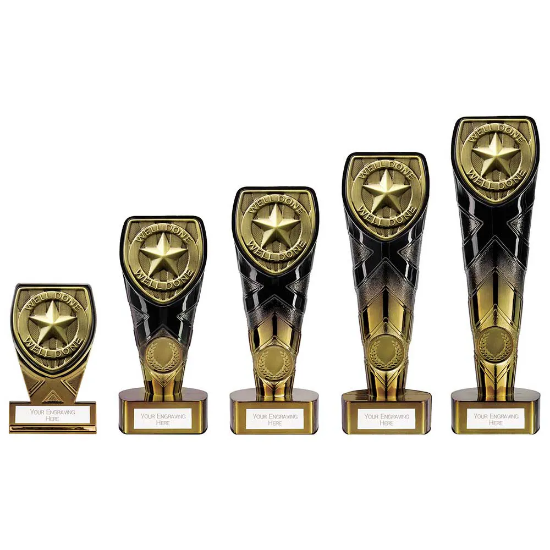 Fusion Cobra Well Done Award