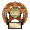 Emperor Star Special Award Plaque Bronze 120mm