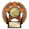 Emperor Star You're a Hero Plaque Bronze 120mm