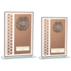 Titanium Multisport Glass Award Bronze