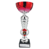 Energy Trophy Red & Silver 295mm