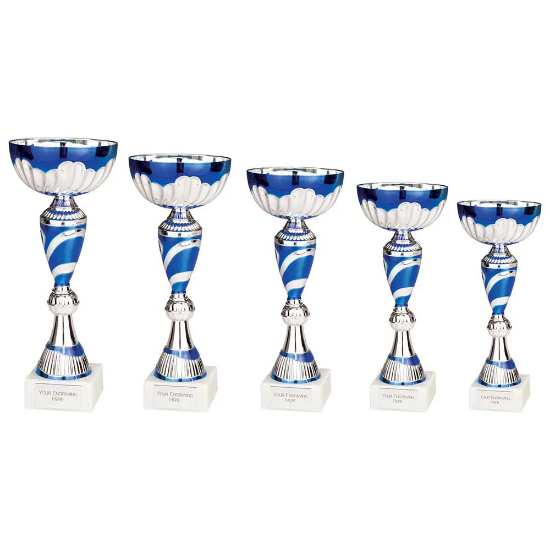 Omega Cup Silver & Blue