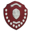 Mountbatten Annual Shield Rosewood 13yr 405mm