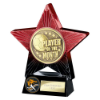 Superstar Player of Month Award Red & Black 140mm