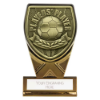 Fusion Cobra Players Player Plaque Award Black & Gold 110mm