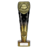 Fusion Cobra Player of Year Award Black & Gold 225mm
