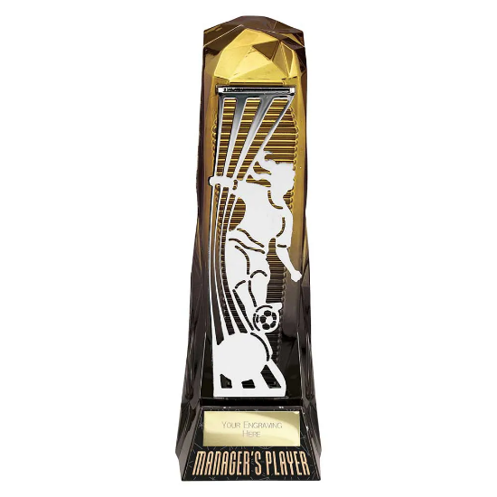 Shard Football Female Managers Player Gold & Carbon Black 230mm