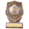 Falcon Football Player's Player Plaque Award 105mm