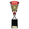 Cobra Star Cup Player of Year Silver & Red 255mm