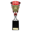 Cobra Star Cup Player of Match Silver & Red 255mm
