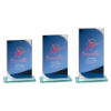 Seismic Multisport Mirror Glass Award
