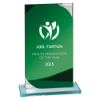 Seismic Multisport Mirror Glass Award Green & Silver 170mm (8mm Thick)